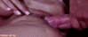 [480x203]<br>(1.355 Mb)