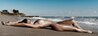 [1280x471]<br>(80.576 kb)