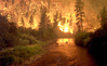 Fire on Earth (–) John McColgan (AFS, BLM)
720x444
408.179 kb Fire on Earth (–) John McColgan (AFS, BLM)
720x444
408.179 kb