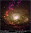 The Circinus Galaxy (–) Andrew S.Wilson (U. Maryland), WFPC2, HST
612x657
85.424 kb The Circinus Galaxy (–) Andrew S.Wilson (U. Maryland), WFPC2, HST
612x657
85.424 kb