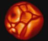 Simulated Supergiant Star (–) B.Freytag (Institute for Astronomy and Space Physics)
480x411
14.927 kb Simulated Supergiant Star (–) B.Freytag (Institute for Astronomy and Space Physics)
480x411
14.927 kb