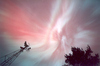Red Auroral Corona (–) Duane Clausen
480x317
108.411 kb Red Auroral Corona (–) Duane Clausen
480x317
108.411 kb