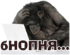������...
512x398
242.612 kb