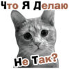 �� � ����� �� ���?
512x512
257.168 kb
