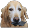 ������ � ��᪥⮩
512x484
290.738 kb