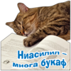 ���ᨫ�� - ����� �㪠�
512x512
454.612 kb