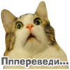 ����ॢ���...
512x512
304.685 kb