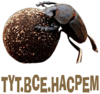 TYT.BCE.HACPEM
512x483
298.215 kb
