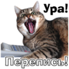 ��, ��९���!
512x512
389.189 kb