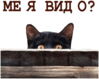 �� � ��� �?
512x407
200.749 kb