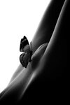 [533x800]<br>(37.050 kb)