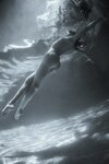 [620x930]<br>(81.695 kb)